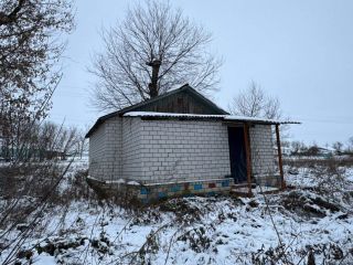 Продается помещение свободного назначения с коммуникациями фото 3 Курск