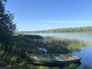 Продам участок земли фото Луга