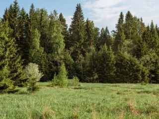 Продам участок земли есть документы с коммуникациями фото 5 Кингисепп