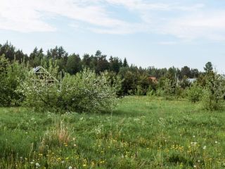 Продам участок земли есть документы с коммуникациями фото 6 Кингисепп