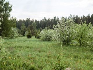 Продам участок земли есть документы с коммуникациями фото 7 Кингисепп