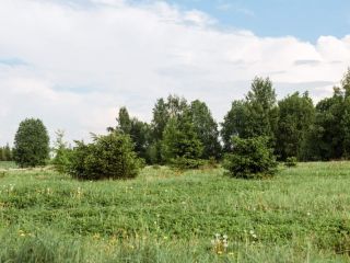Продам участок земли есть документы с коммуникациями фото 8 Кингисепп