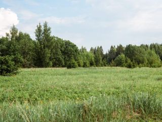Продам участок земли есть документы с коммуникациями фото 9 Кингисепп
