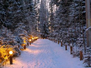 Продаю дом панорамные окна подключена канализация фото 3 Выборг