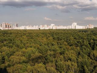 Продается 3 комн. квартира фото 34 Москва