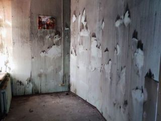 Сдаю офис свободного назначения есть электричество фото 2 Санкт-Петербург