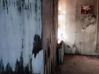 Сдаю офис свободного назначения есть электричество фото 3 Санкт-Петербург