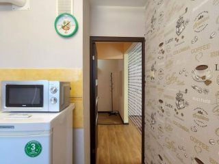 Сдаю 1 комнатную квартиру хорошее состояние фото 4 Псков