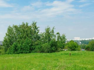 Продается земельный участок фото 2 Новосибирск