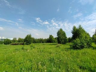 Продается земельный участок фото 4 Новосибирск