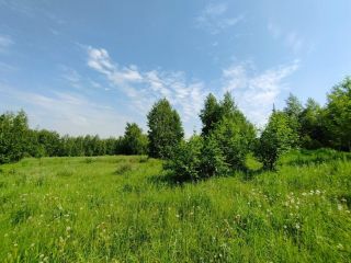 Продается земельный участок фото 8 Новосибирск