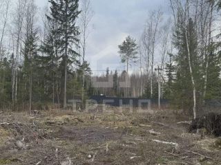 Продается зем участок подключена канализация с коммуникациями фото 5 Всеволожск