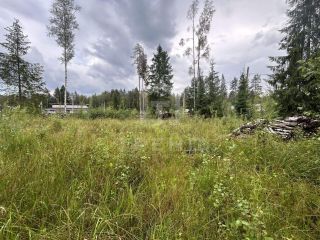 Продам земельный участок в дачном некоммерческом партнерстве фото 2 Всеволожск