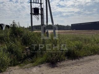 Продаю зем участок рядом асфальт фото Всеволожск