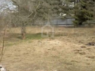 Продается зем участок с коммуникациями взрослый собственник фото Всеволожск