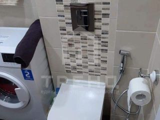 Продам студию для студентов с плодоносящим садом фото 32 Санкт-Петербург