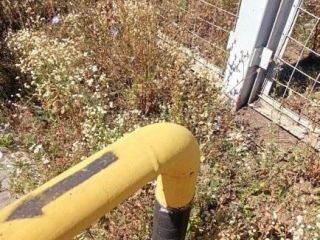 Продам помещение под производство подключена канализация фото 10 Ставрополь