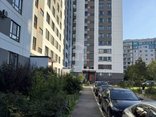 Продам однушку установлены натяжные потолки фото 17 Всеволожск