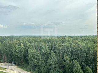 Продается 1 комнатная квартира взрослый собственник с мебелью фото 12 Всеволожск