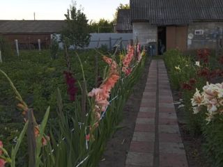 Продается кирпичный дом есть электричество подключена канализация фото 3 Шацк