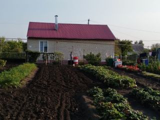 Продается кирпичный дом есть электричество подключена канализация фото 9 Шацк