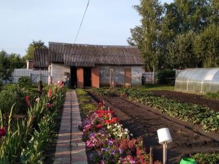 Продается кирпичный дом есть электричество подключена канализация фото 12 Шацк
