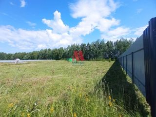 Продаю участок земли участок ровный фото 5 Рыбинск