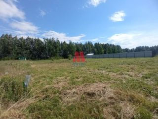 Продаю участок земли участок ровный фото 6 Рыбинск