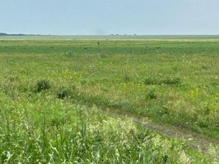 Продаю участок земли фото 2 Самара