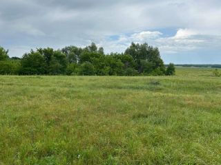 Продаю участок земли фото 4 Самара