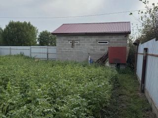 Продаю дачу необходим косметический ремонт имеется баня фото 4 СНТ Мечта