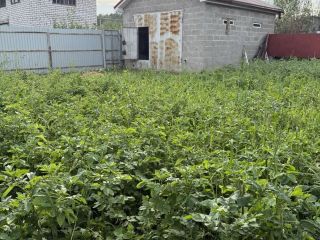 Продаю дачу необходим косметический ремонт имеется баня фото 10 СНТ Мечта