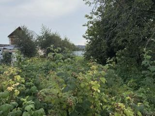 Продаю дачу необходим косметический ремонт имеется баня фото 11 СНТ Мечта