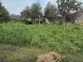 Продаю дачу необходим косметический ремонт имеется баня фото 13 СНТ Мечта
