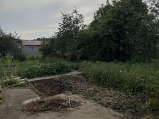 Продаю дачу необходим косметический ремонт имеется баня фото 18 СНТ Мечта