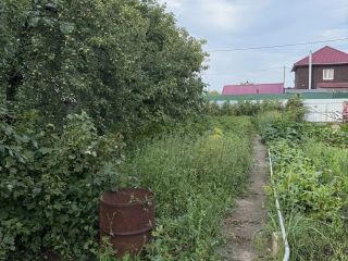 Продаю дачу необходим косметический ремонт имеется баня фото 19 СНТ Мечта