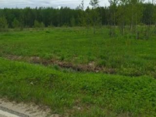 Продаю зем участок в садовом некоммерческом товариществе рядом асфальт фото 5 Раменское