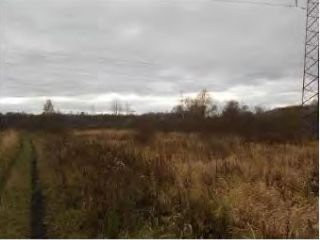 Продается земельный участок в садовом некоммерческом товариществе фото 3 Раменское