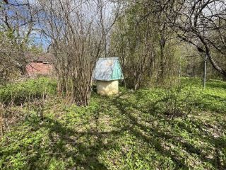 Продам участок земли есть баня имеются хозяйственные постройки фото 4 Дмитров
