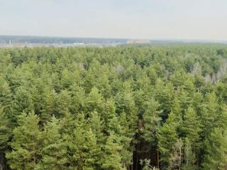Продается 3 комнатная квартира фото 18 Апрелевка