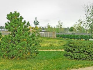 Продаю участок земли фото 12 Выборг