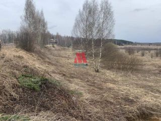 Продам земельный участок отличное место рядом асфальт фото 8 Ярославль
