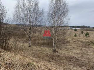 Продам земельный участок отличное место рядом асфальт фото 9 Ярославль