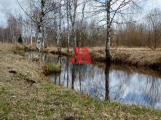 Продам участок земли круглогодичный подъезд в рассрочку фото 10 Ярославль
