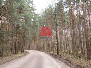 Продам участок земли круглогодичный подъезд в рассрочку фото 21 Ярославль