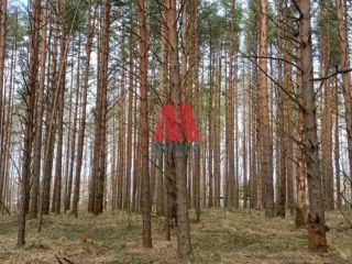 Продам участок земли круглогодичный подъезд в рассрочку фото 22 Ярославль