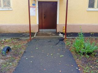 Продается комната косметический ремонт хрущевской планировки взрослый собственник кирпичный фото 4 Нижний Новгород
