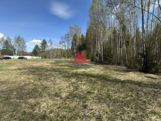 Продам земельный участок асфальтная дорога фото 4 Гаврилов-Ям