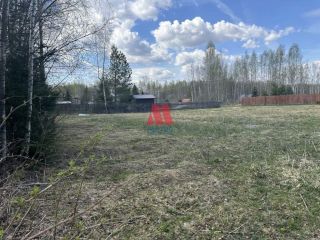 Продам земельный участок асфальтная дорога фото 5 Гаврилов-Ям