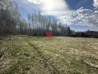 Продам земельный участок асфальтная дорога фото 9 Гаврилов-Ям
